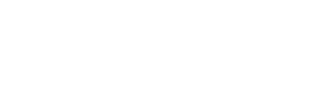 Tspedisco